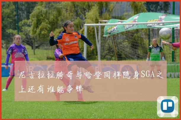 尼古拉拉胯奇与哈登同样隐身SGA之上还有谁能争锋