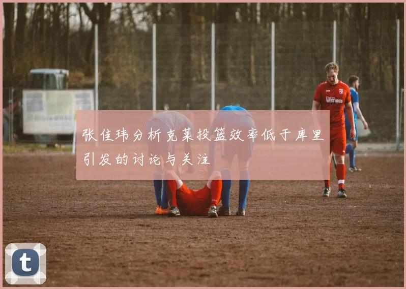 张佳玮分析克莱投篮效率低于库里引发的讨论与关注
